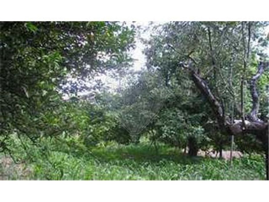 Quinta T0 para venda