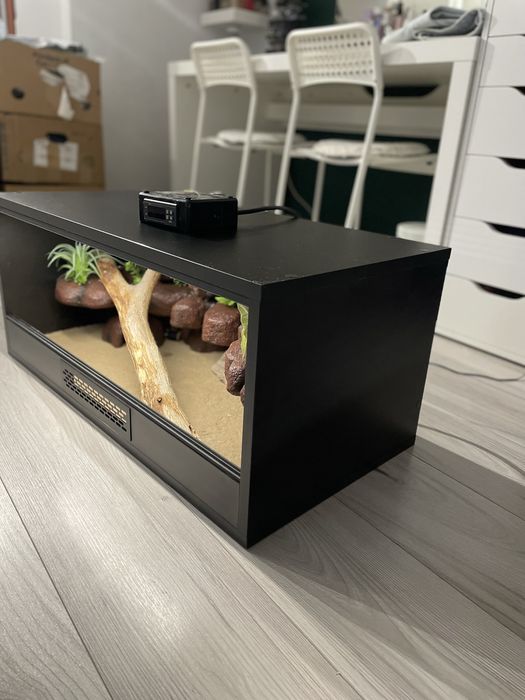Terarium czarne z dodatkami