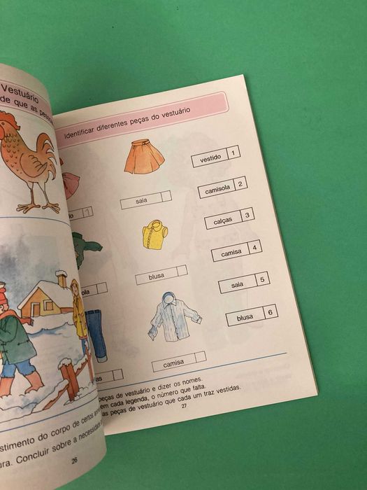 Livro Escola Primária Terra Amiga Meio Físico e Social 1ª Classe Livraria Avis Anos 80