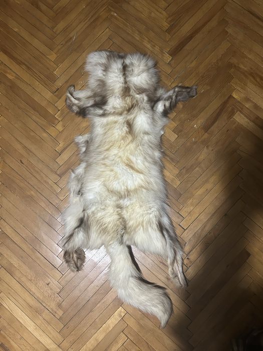 Старе хутро песця