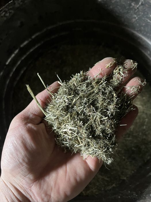 Продам циркулярку з мотором