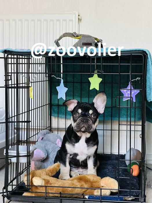 Клетка, клітка, переноска вольер будка, домик для собак или кошек