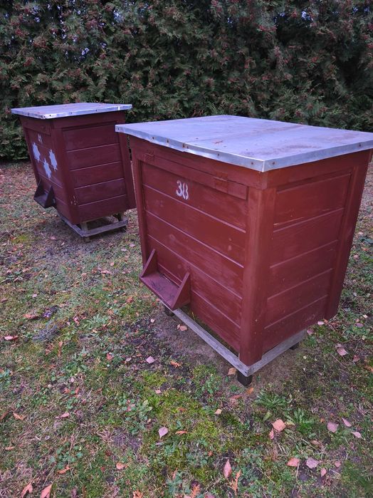 Ule warszawskie poszerzone nowe