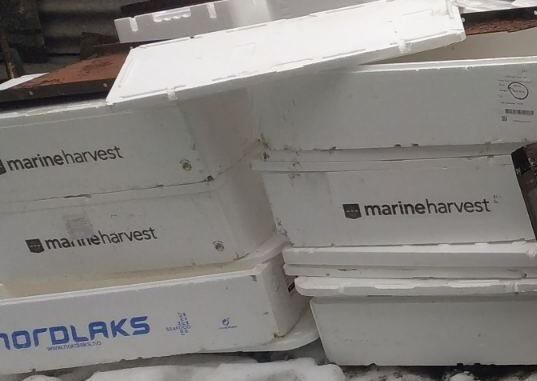 Пенопластовые ящики для рассады -из под рыбы,мореподуктов