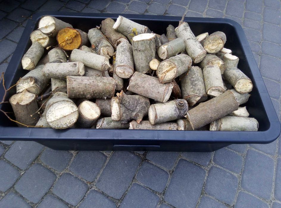 NOWY mechanizm RĘBAKA do9cm- rebak walcowy W100 niebieski rozdrabniacz