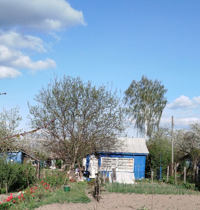 Продам садову ділянку