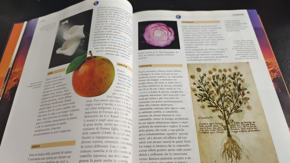 Encyclopedia "La Terra" Rizzoli junior w jezyku wloskim