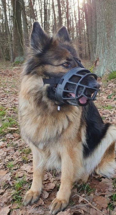 Kaganiec z tworzywa sztucznego Baskerville rozmiar 5