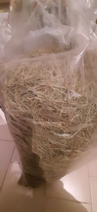Feno para animais