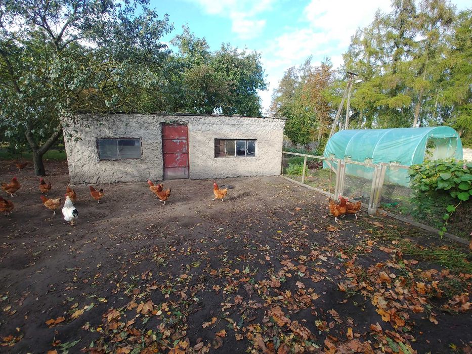 Gospodarstwo rolne 7,5 ha z budynkami - Więcej