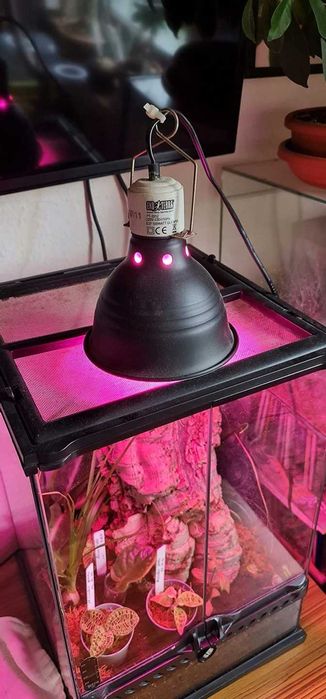 Exo Terra Light Dome Aluminiowy KLOSZ OPRAWA żarówki 14cm