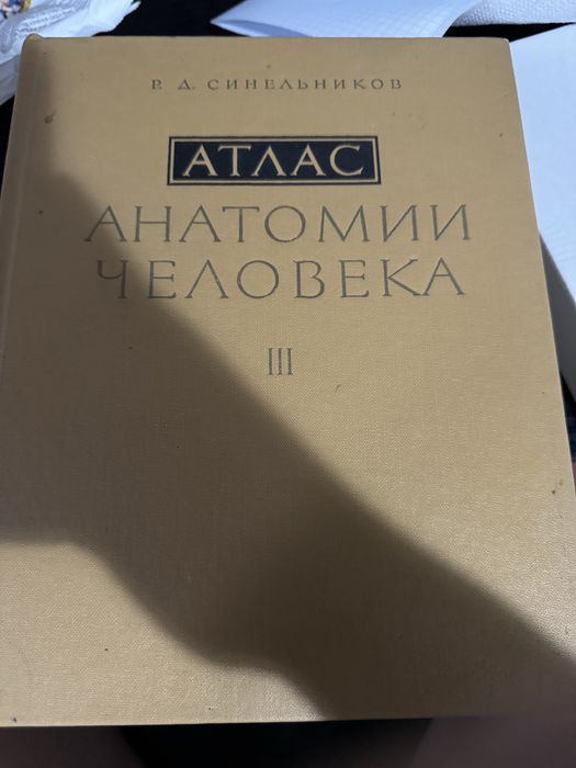 Атлас анатомии Синельников