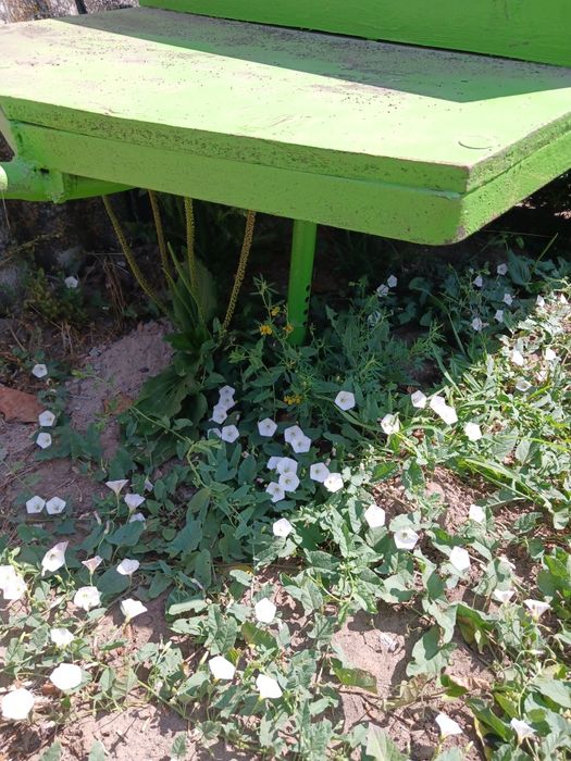 Продам прицеп на мотоблок