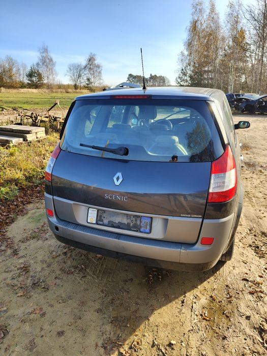 Części Renault scenic 2 z 2005 TEB 66 lakier