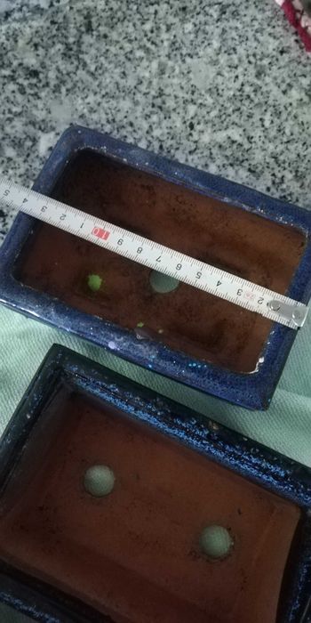 Vasos em cerâmica Para bonsai