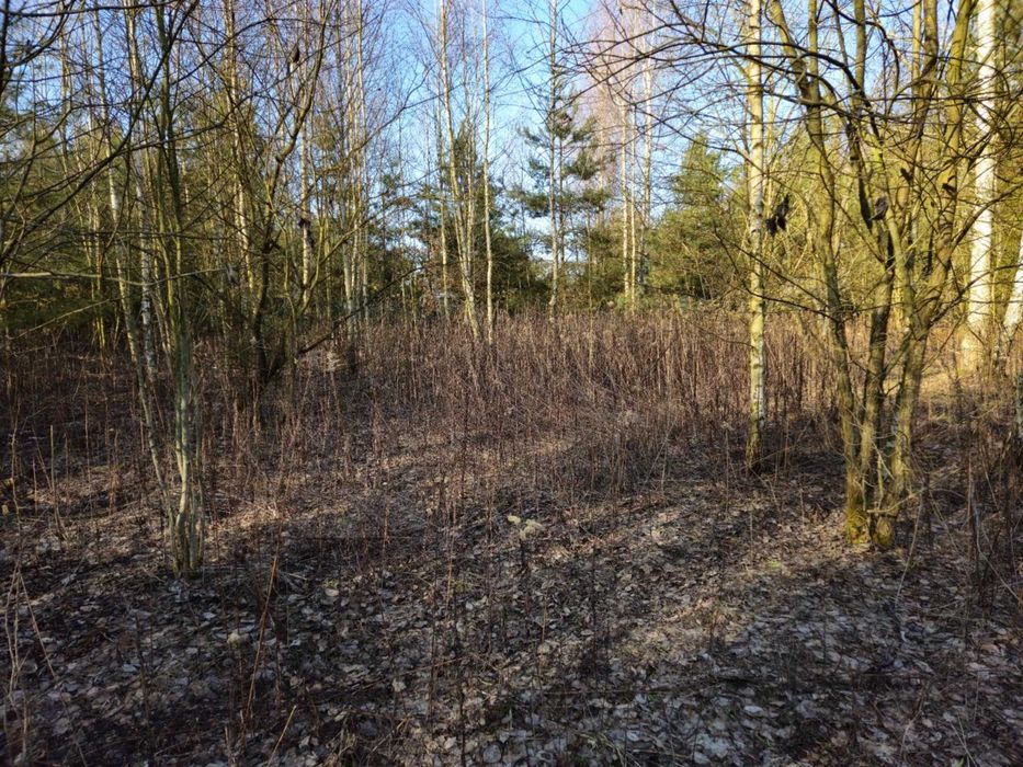 Działka budowlana Cychry gm. Pniewy - Widok 2