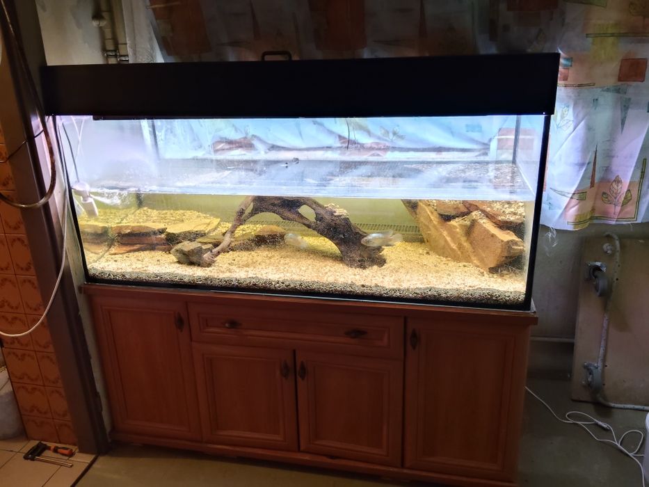Akwarium z szafką
