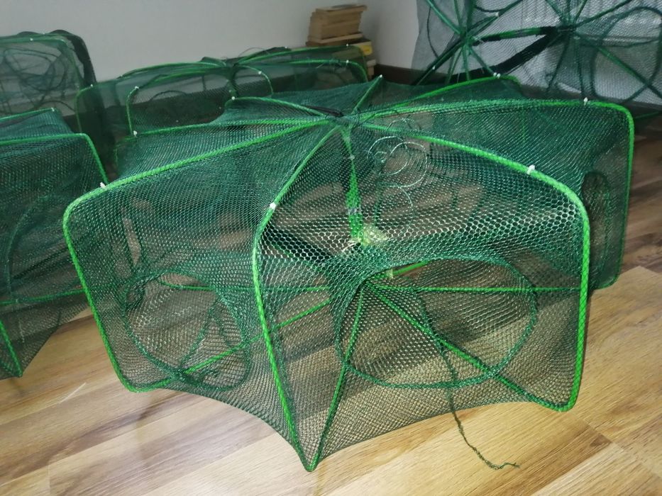 Pułapka na ryby 6 otworowa podrywka na żywca karaś lin karp amur nowa