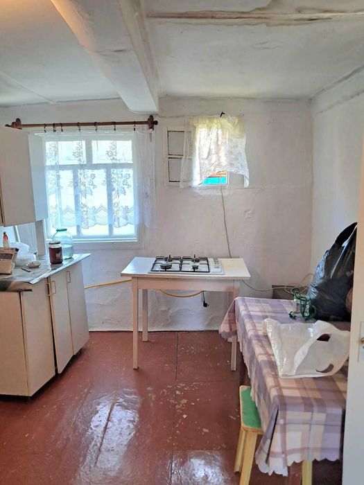 Кам`янка 5 км відЖитомира