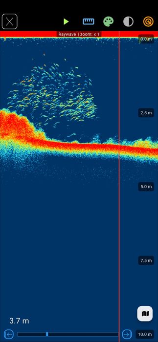 Extreme-Master Sonar S200 – echosonda do łódki zanętowej