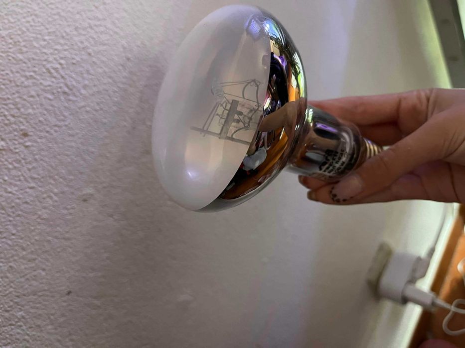Lâmpada Sun Heat SERA RÉPTIL 100w