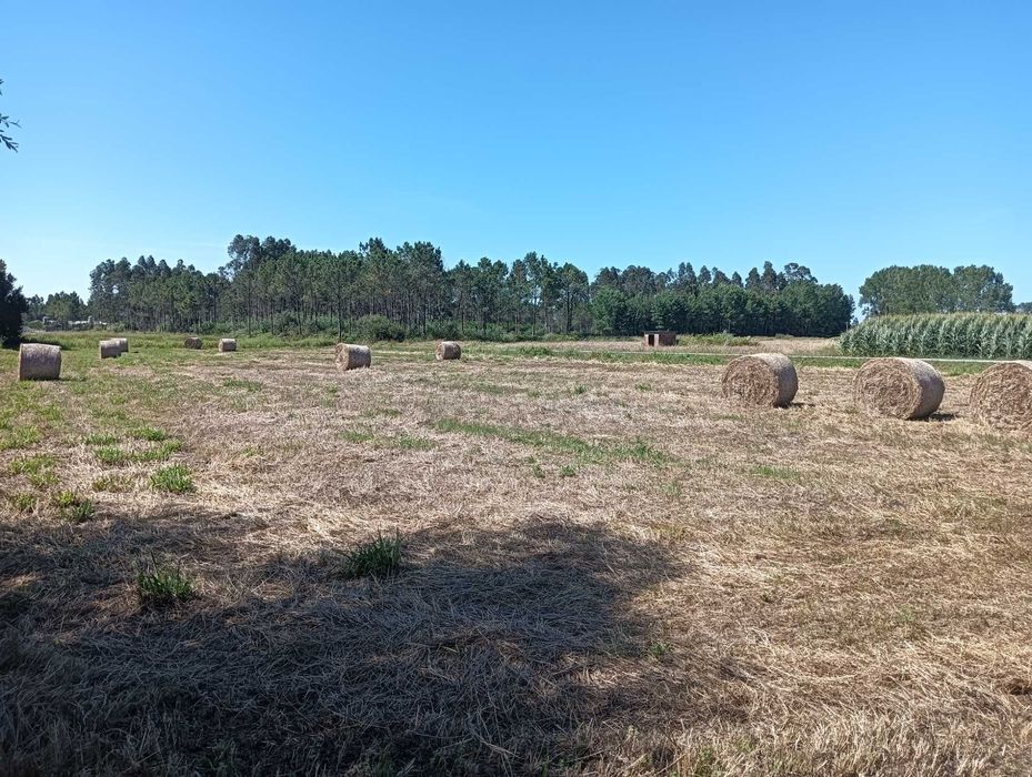 Palha de rolo recortada