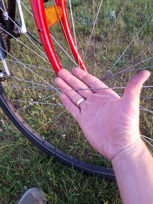 Rower Panasonic MC-7500