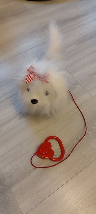 Smoki piesek Lucky