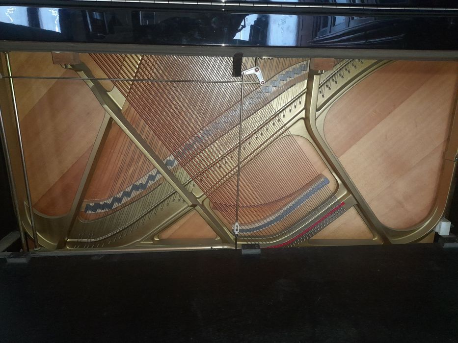 Piano Yamaha C-113 TPE