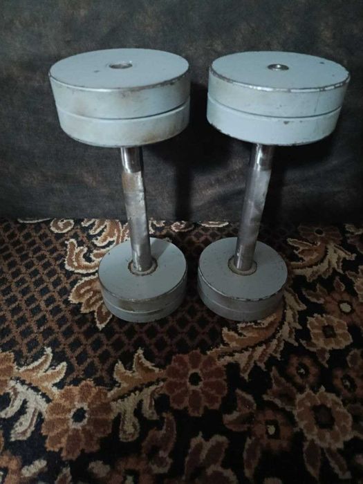 Продам гантелі по 16 кг (метал), пара