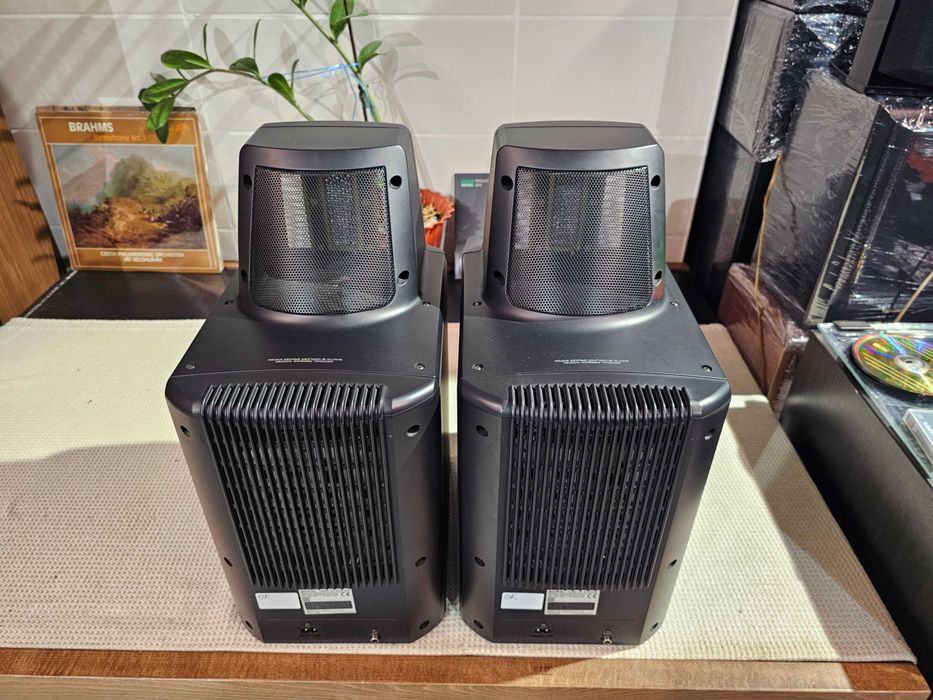 Електростати Sony SA-EX100 / SONY SA-S900