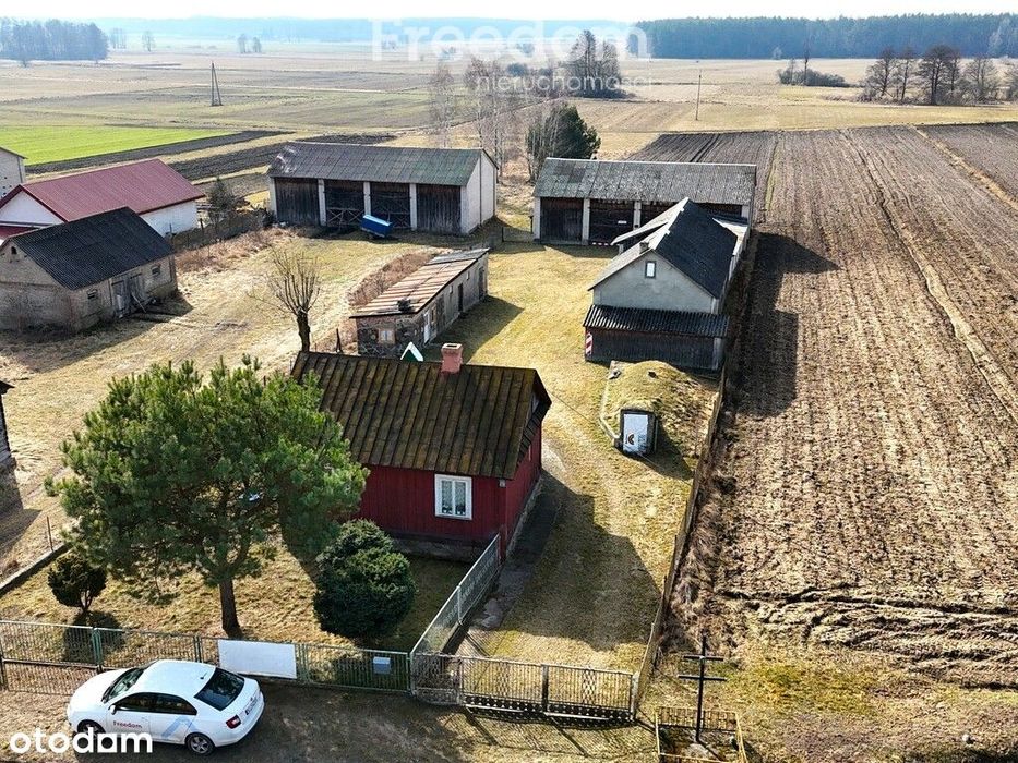 Klimatyczne siedlisko