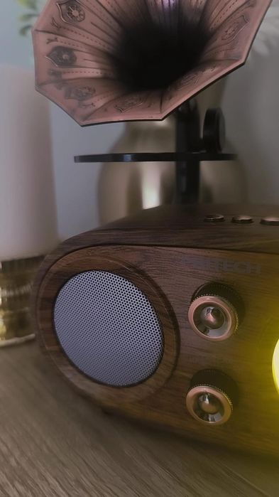 Radio Vintage bluetooth e pen