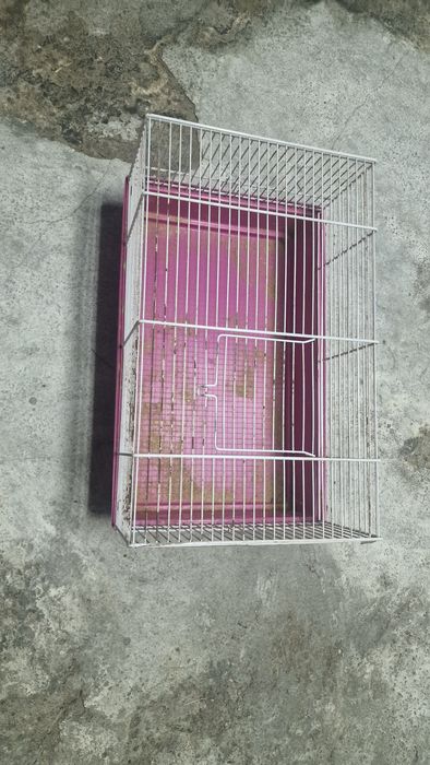 Gaiola para roedores