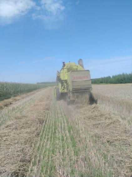 Kombajn Claas Mercator 60