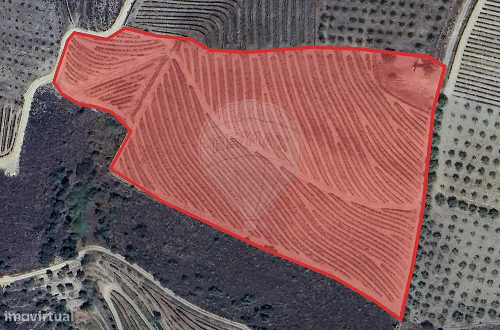 Terreno  para venda