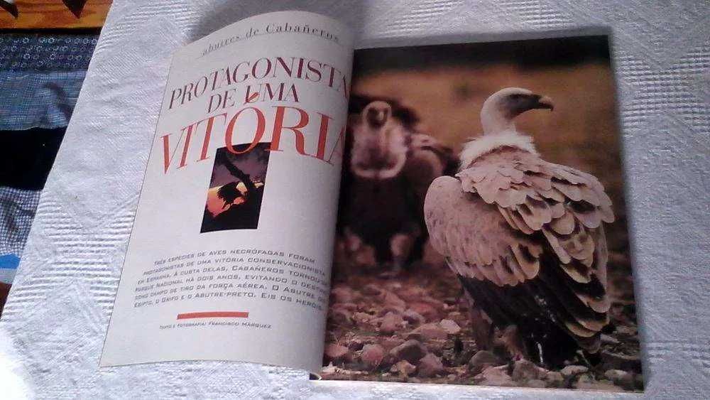 Fórum Ambiente, vários números