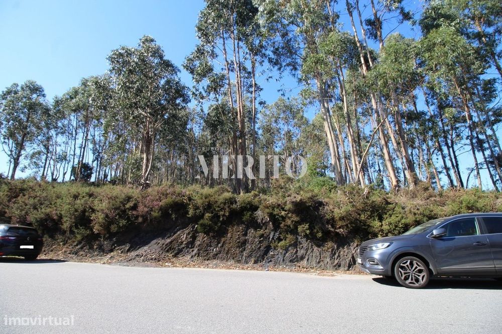 Terreno com 9.999M2, para construção de espaço de atividades económica