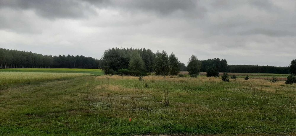 Działka budowlana Stanisławów Nowy - Widok 4