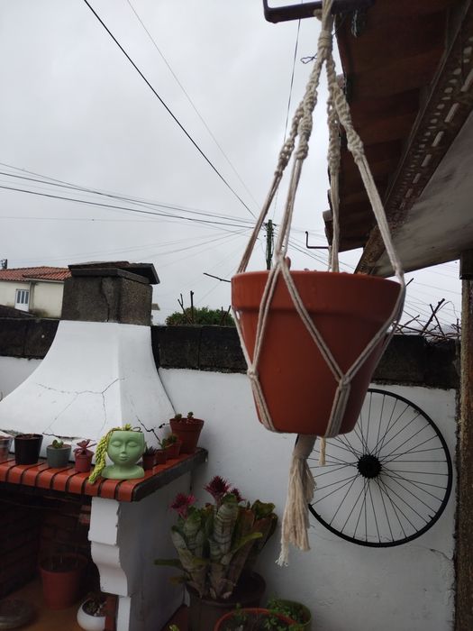 Suporte de vasos em macramé com vaso e suculenta