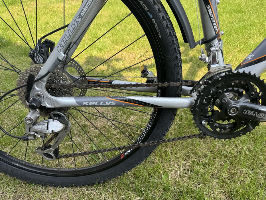 Rower kellys  salamander