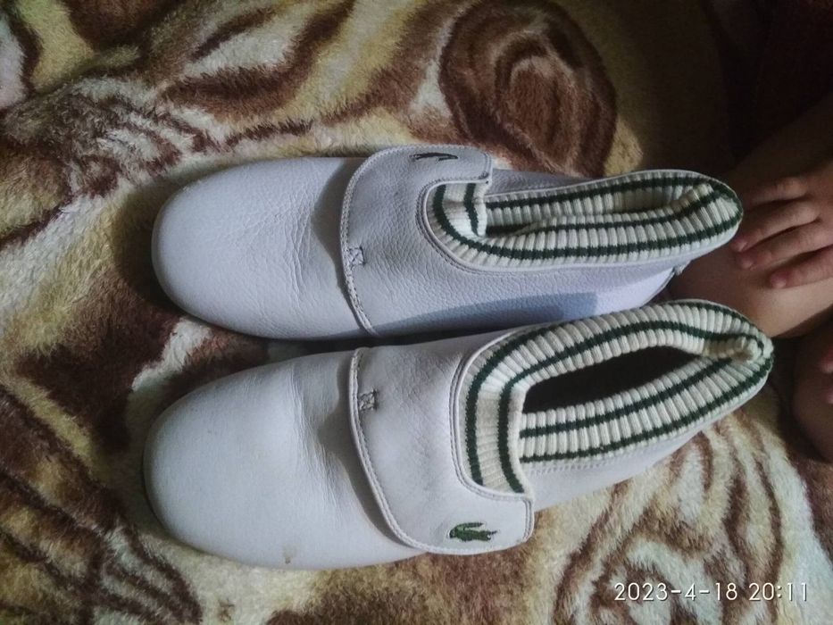 Кросовки  жіночі шкіряні Lacoste