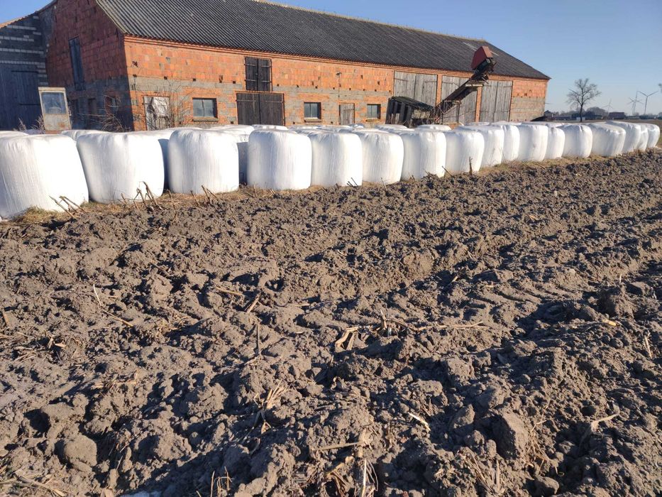 Baloty sianokiszonka