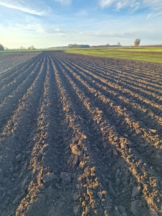 Spulchniacz gleby Głębosz