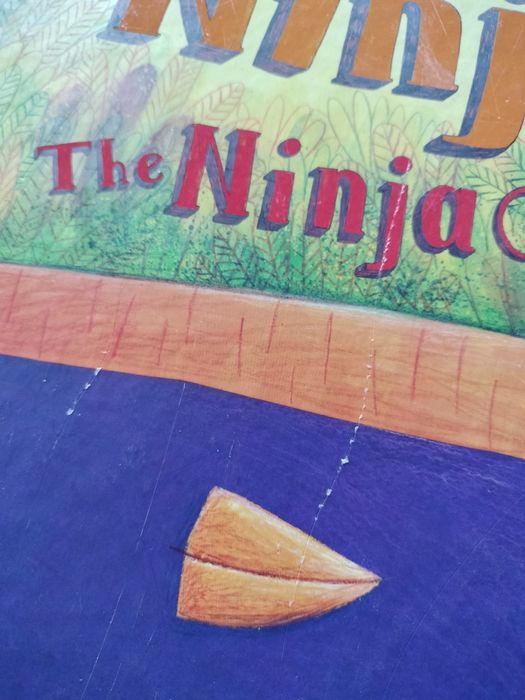 Książka "Sowa Ninja"