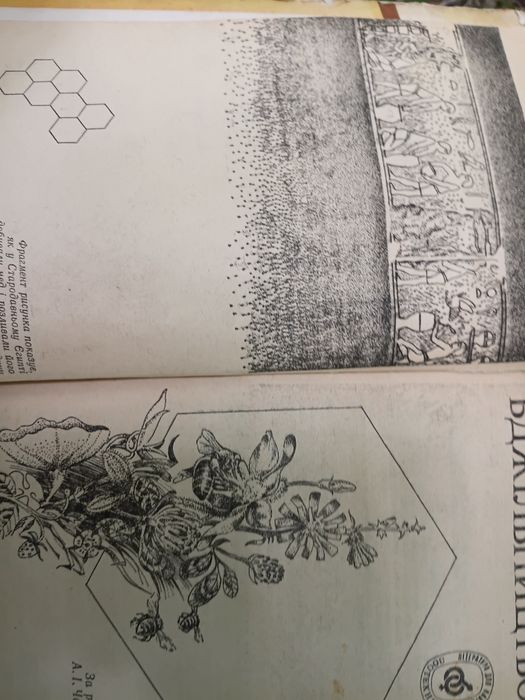 Книга "Бжільництво"