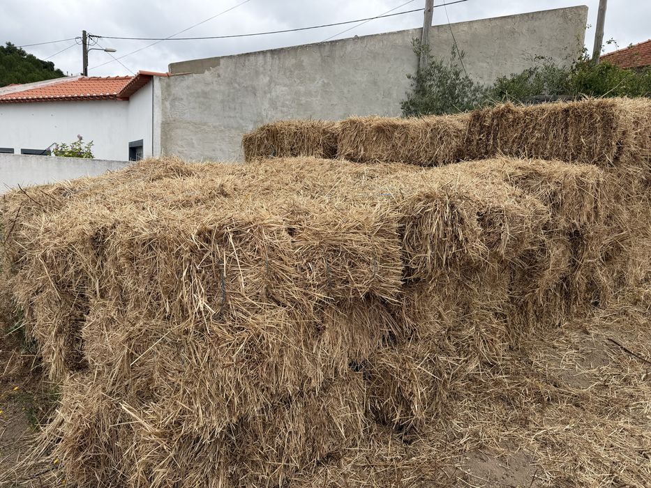 Fardos de palha nova