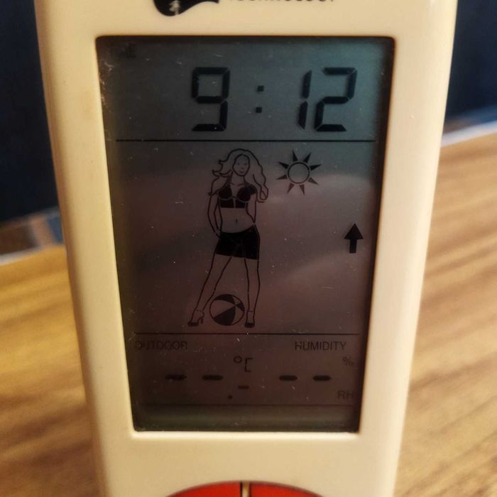 Часы-Метеостанция La Crosse Technology WS-9720-IT