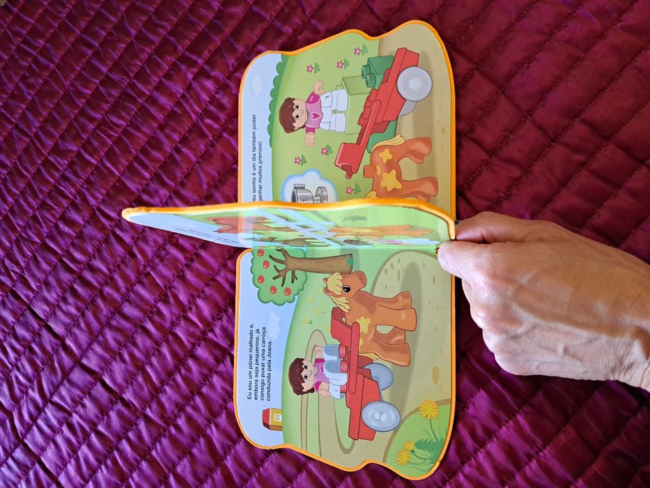 O Sonho do Pónei - LEGO