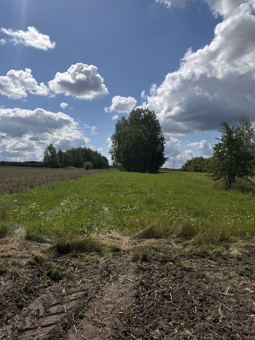 Działka Rekreacyjna Podlasie Reduty